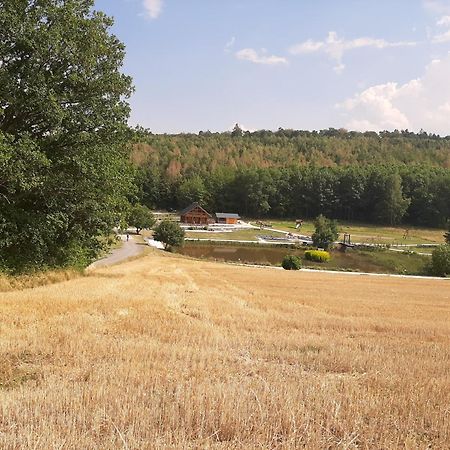Residenz Moselstausee Sankt Aldegund Zewnętrze zdjęcie