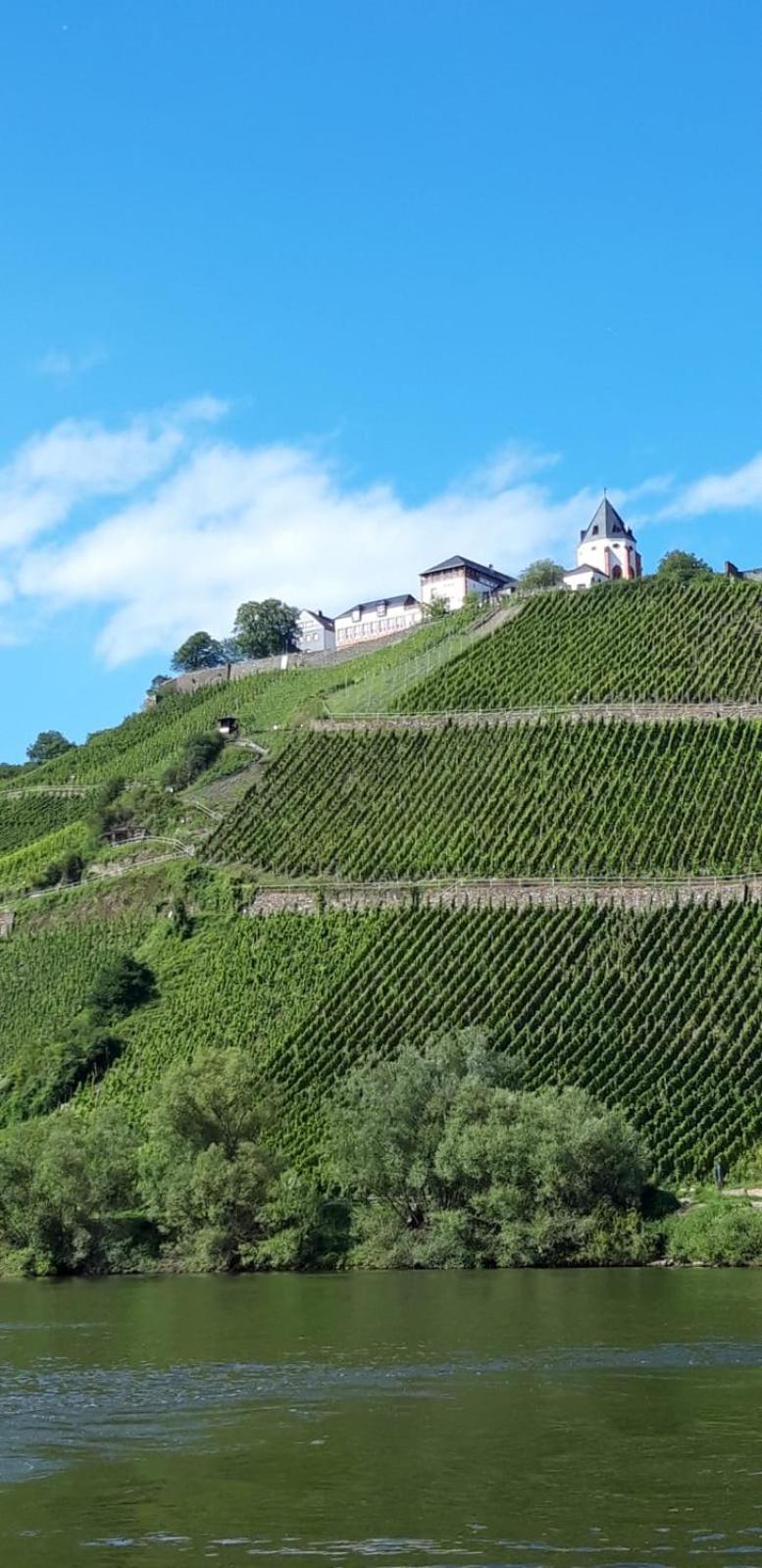 Residenz Moselstausee Sankt Aldegund Zewnętrze zdjęcie