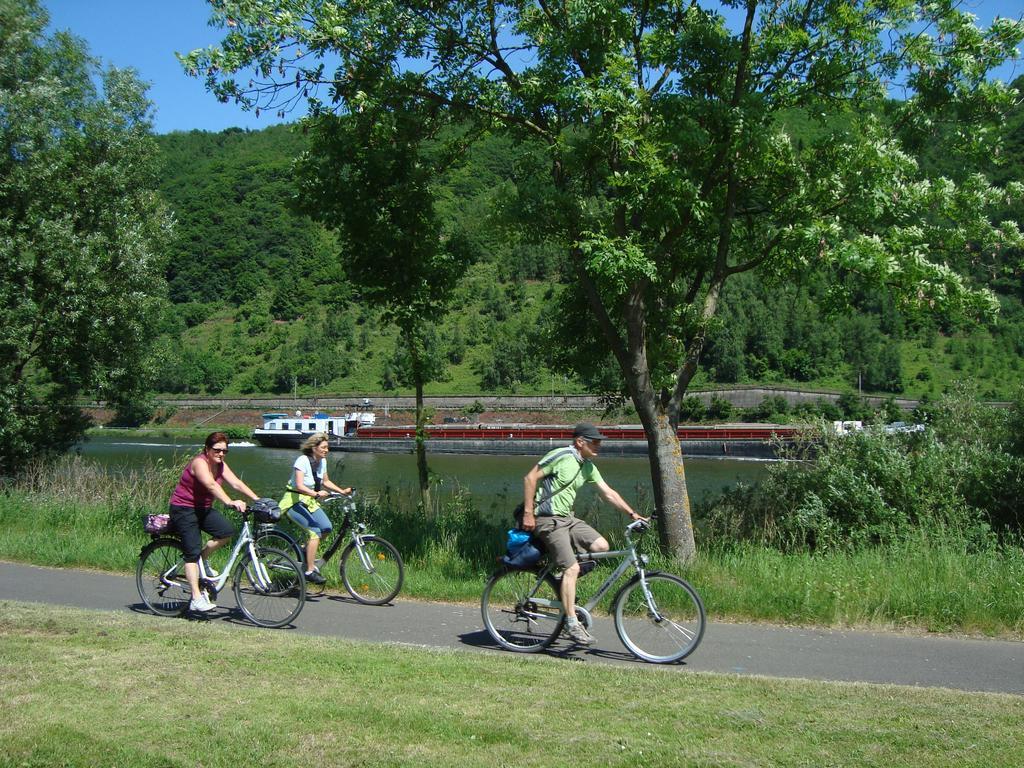 Residenz Moselstausee Sankt Aldegund Zewnętrze zdjęcie