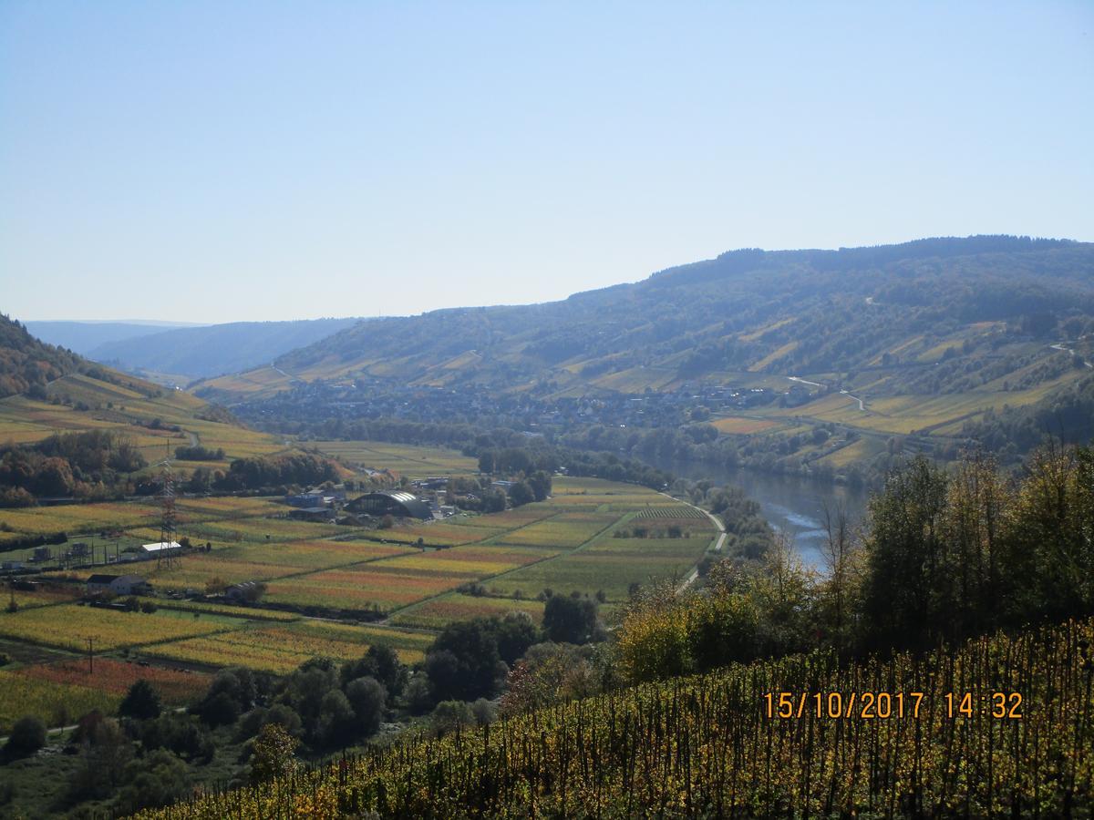 Residenz Moselstausee Sankt Aldegund Zewnętrze zdjęcie